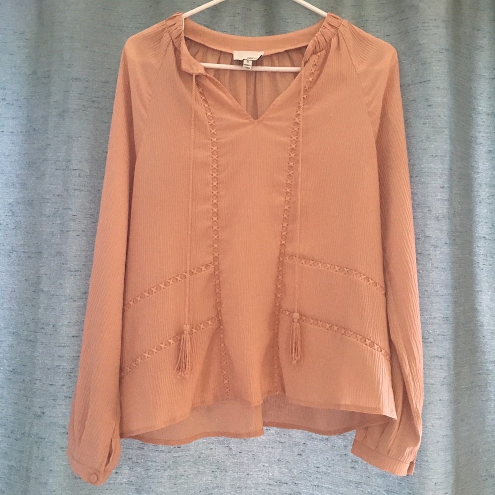 Revolve sheer chiffon blouse long sleeve blush
